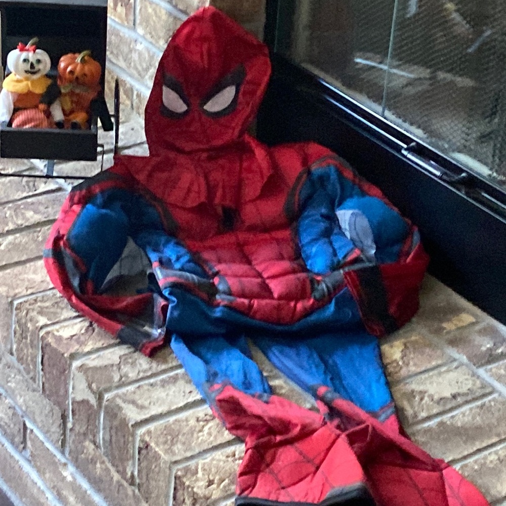 Big Boys Deluxe Spider-Man Disney Marvel Avengers Halloween Superhero Costume